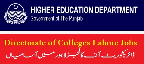 Directorate of Education Colleges Lahore Jobs 2022 Application Form