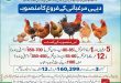 CM Punjab Dairy Poultry Promotion Project Application Form