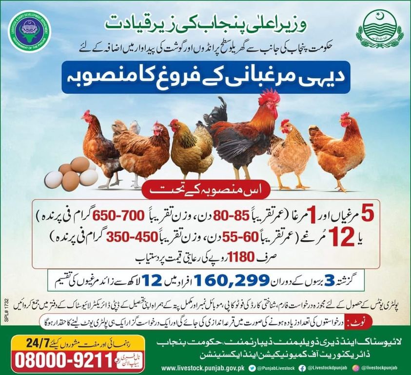 CM Punjab Dairy Poultry Promotion Project Application Form