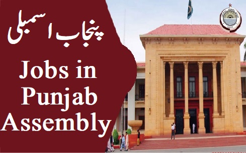 Punjab Assembly Jobs 2023 Advertisement CTS