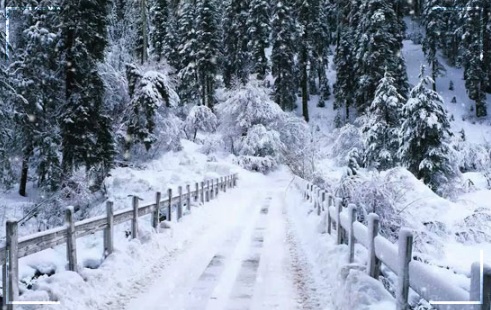 Murree Snowfall 2023 Season Weather Updates & Lateset Images