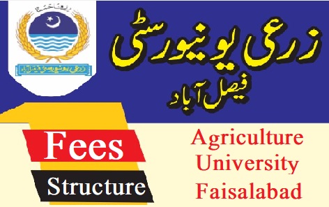 Agriculture University Faisalabad Fee Structure 2023 UAF Check Online