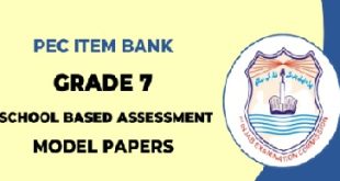 School Based Assessment 2023 Class 7 Download with Answer Keys Model Papers