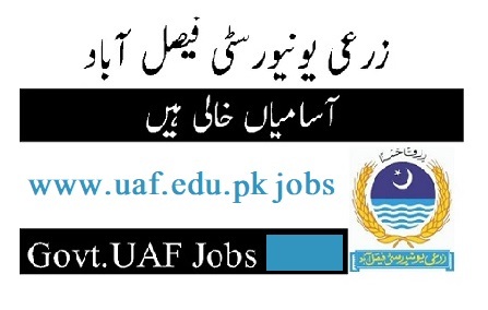 UAF Jobs 2023 University of Agriculture Faisalabad Career Opportunity Advertisement