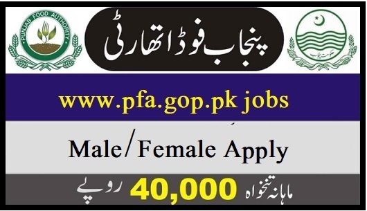 Punjab Food Authority Jobs 2023 June Advertisement Download